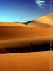 Dune 8