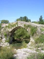 Nicola Del Chiaro: Il pastore sul fiume