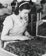 Vita di fabbrica Vita di fabbrica