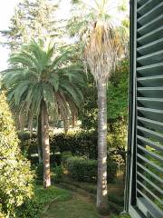 Villa Giovannini: una finestra sul giardino Villa Giovannini: una finestra sul giardino